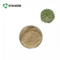 綠咖啡豆綠原酸green coffee bean extract chlorogenic acid 4