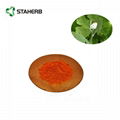 Macleaya cordata extract 1