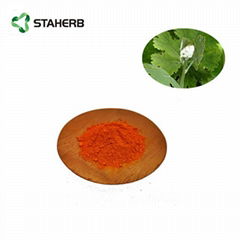 博落回提取物Macleaya cordata extract