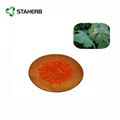 博落回提取物Macleaya cordata extract 5