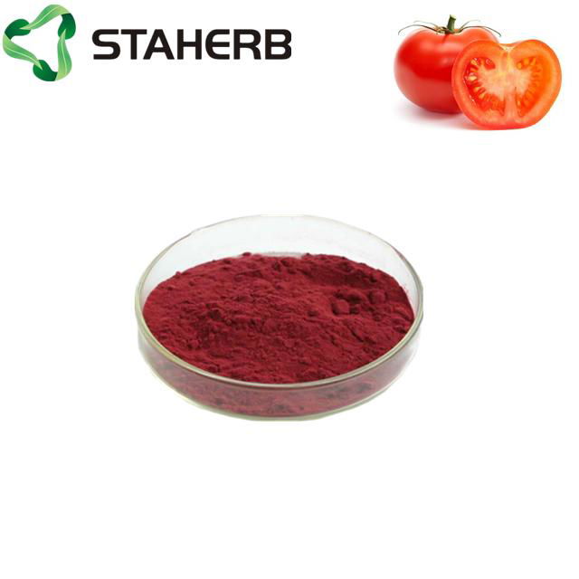 西紅柿提取物番茄紅素2%tomato extract lycopene 2%