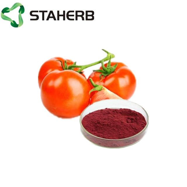 西紅柿提取物番茄紅素2%tomato extract lycopene 2% 2