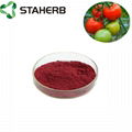 tomato extract lycopene 2% 3