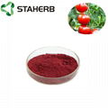 tomato extract lycopene 2% 5