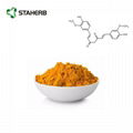 姜黄提取物tumeric extract curcumin 1