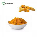 姜黃提取物tumeric extract curcumin