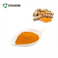 姜黄提取物tumeric extract curcumin 3