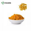 姜黄提取物tumeric extract curcumin 4