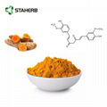 姜黄提取物tumeric extract curcumin 5