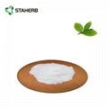 熊果甙alpha - arbutin powder for cosmetic  2