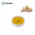 ginger extract ginerol 5%