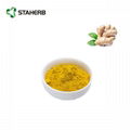 ginger extract ginerol 5% 4