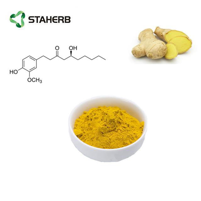 ginger extract ginerol 5% 5