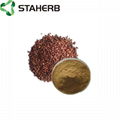 grape seed extract OPC 95%