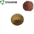 grape seed extract OPC 95% 2