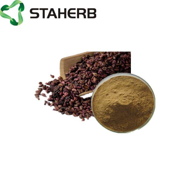 grape seed extract OPC 95% 3