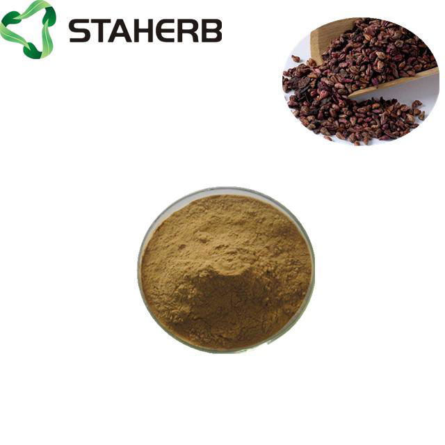 葡萄籽提取物grape seed extract OPC 95% 4