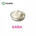 伽马-氨基丁酸γ-aminobutyric acid GABA 1