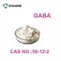 γ-aminobutyric acid GABA 3