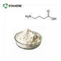 伽馬-氨基丁酸γ-aminobutyric acid GABA 4