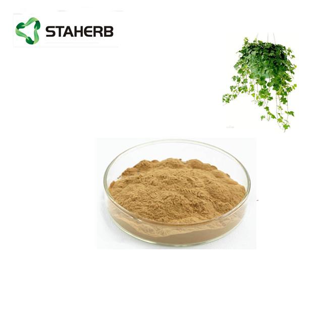 常春藤提取物常春藤总皂甙10%Ivy leaf extract  ivy saponins