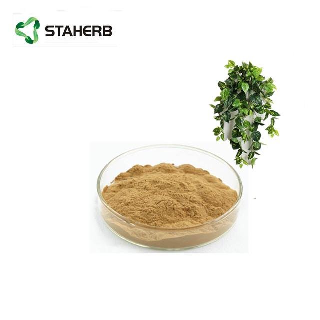 Ivy leaf extract  ivy total saponins 10% 3