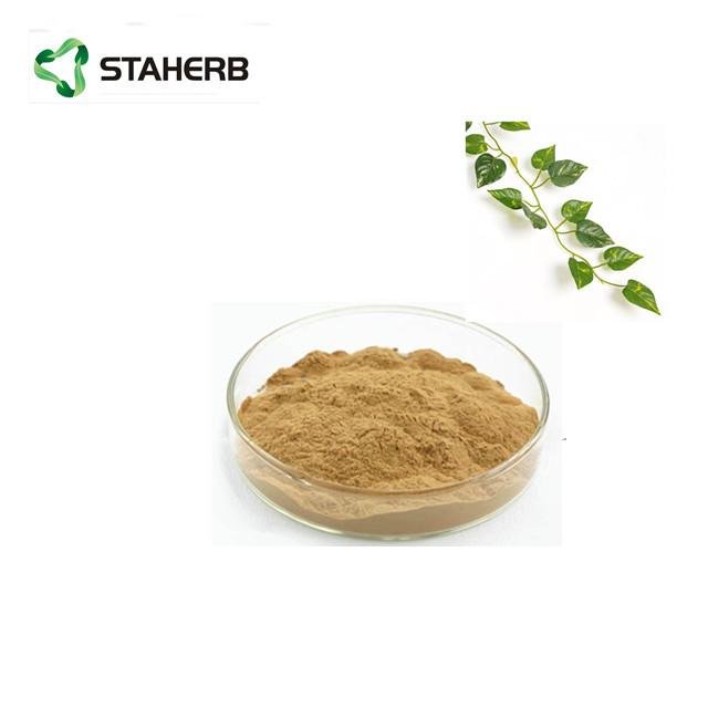 Ivy leaf extract  ivy total saponins 10% 4