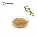Ivy leaf extract  ivy total saponins 10% 4