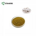 Garlic extract Allicin