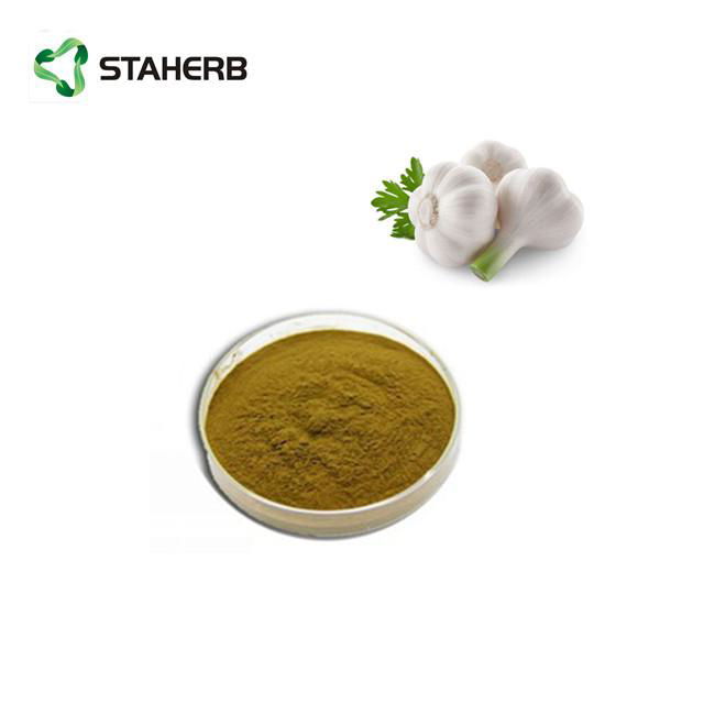 大蒜提取物大蒜素Garlic extract Allicin 2