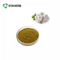 Garlic extract Allicin 2
