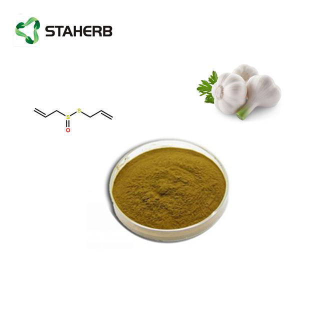 大蒜提取物大蒜素Garlic extract Allicin 3