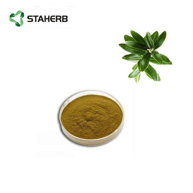Olive leaf extract Oleuropein25%