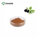Olive leaf extract Hydroxytyrosol