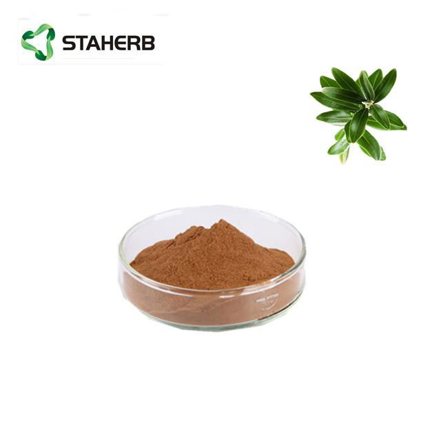 橄榄叶提取物羟基酪醇Olive leaf extract Hydroxytyrosol 2
