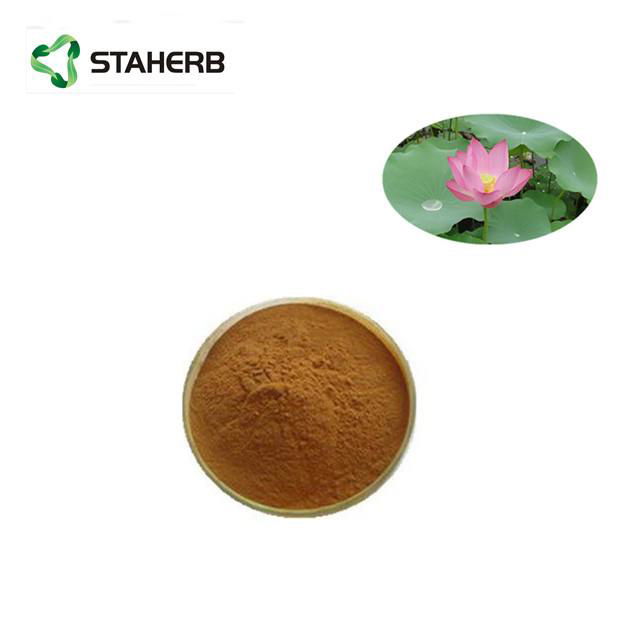 lotus leaf extract Nuciferin