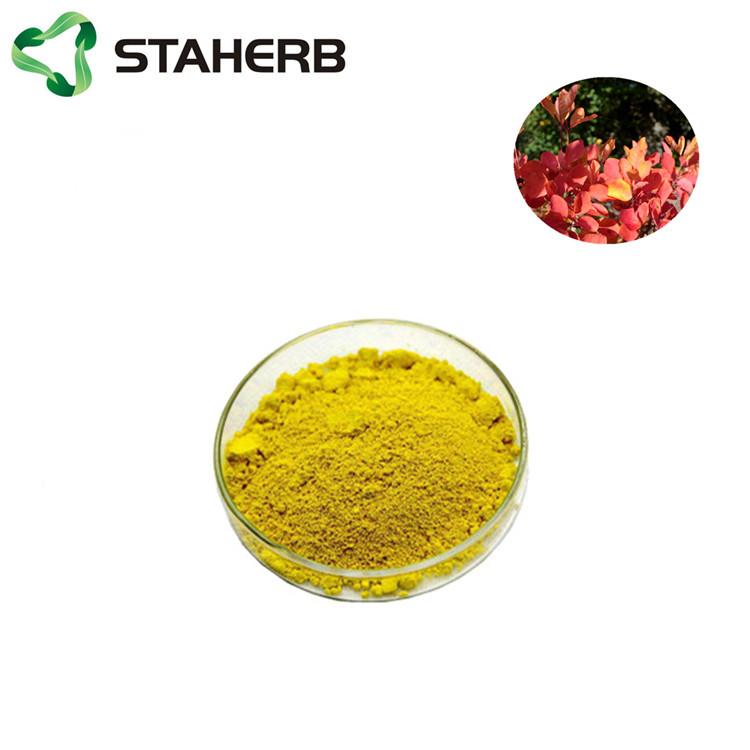 黃櫨提取物漆黃素Cotinus coggygria Scop extract Fiset