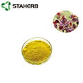 黃櫨提取物漆黃素Cotinus coggygria Scop extract Fiset