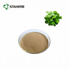 Gotu Kola Extract  