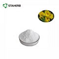 Helianthus tuberosus extract inulin powder 1