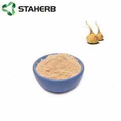 maca extract