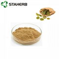 epimedium extract Icariin 10% Epimedium