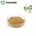 epimedium extract Icariin 10% Epimedium grandiflorum icariin 5-98%