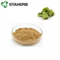 epimedium extract Icariin 10% Epimedium grandiflorum icariin 5-98%