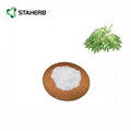 黄蒿提取物青蒿素Artemisia carvifolia Extract Artemisinin powder 3
