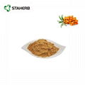 Sea buckthorn fruit extract Total Flavonoids of Hippophae