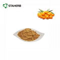 Sea buckthorn fruit extract Total Flavonoids of Hippophae 3