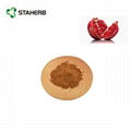 石榴皮提取物鞣花酸40% pomegranate extract ellagic acid 40%