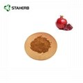 pomegranate extract ellagic acid 40% 2