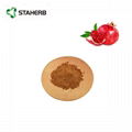 石榴皮提取物鞣花酸40% pomegranate extract ellagic acid 40% 3